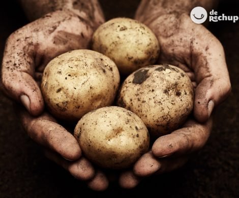 Patatas. Curiosidades y cómo conservarlas