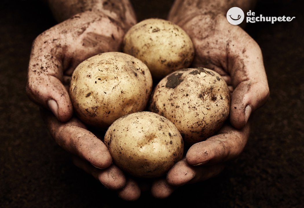 Patatas. Curiosidades y cómo conservarlas