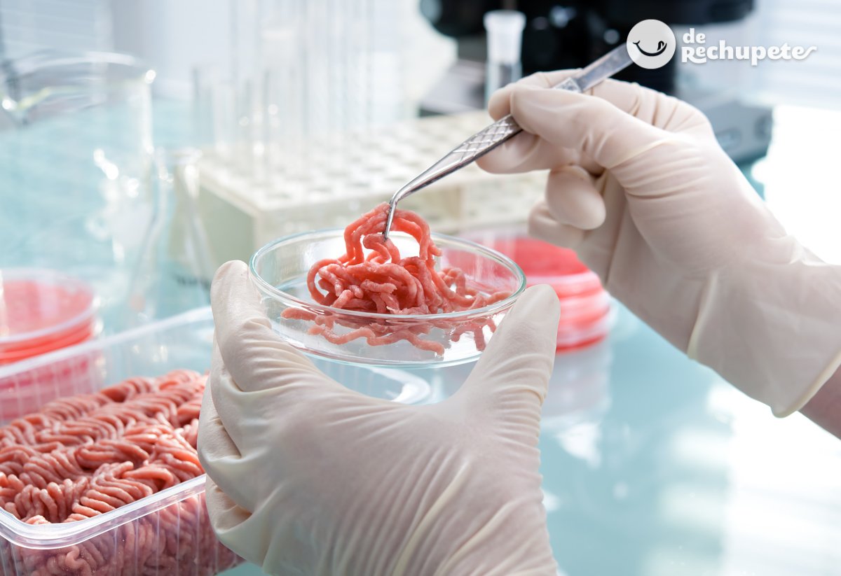Carne in vitro. La carne del futuro ya está aquí