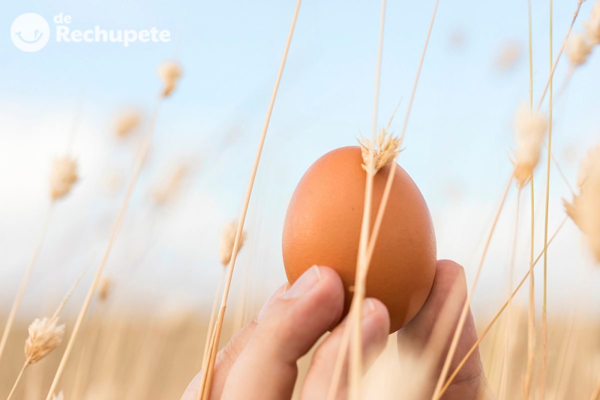 Huevo: propiedades, beneficios y cómo cocinarlo ú