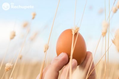 Huevo: propiedades, beneficios y cómo cocinarlo